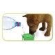 Bebedero Dogit H2O Cup 200 ml