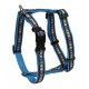 arnes-ajustable-sandimas-diamantes-mediano-20x500-700-mm-nailon-varios-colores-azul