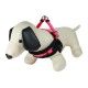 Arnés acolchado Kumfi Dog Vest fluor
