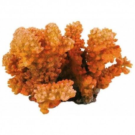 Corales en Rama 12 cm
