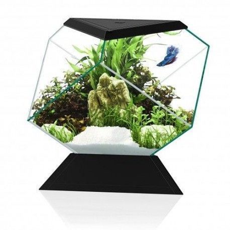 Acuario Nexus Pure BettaLife 5C negro