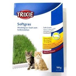 Hierba para gatos Trixie Softgrass 100 g