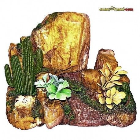 montana-con-cactus-01