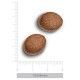 trovet-plus-hypoallergenic-jabali-fresco-croqueta