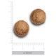 trovet-plus-hypoallergenic-venado-fresco-croqueta