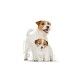 royal-canin-starter-mother-babydog-mousse-195-g-perro
