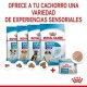 royal-canin-starter-mother-babydog-mousse-195-g-modelos