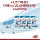 royal-canin-starter-mother-babydog-mousse-195-g-cambio-pienso