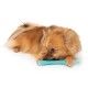 zeus-duo-stick-sabor-pollo-de-23-cm-perro