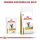 royal-canin-urinary-so-gato-sobre-salsa-formatos