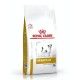 royal-canin-urinary-so-small-dog-dietas