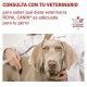 royal-canin-urinary-so-small-dog-dietas-02