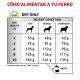 royal-canin-urinary-so-small-dog-dietas-guia-alimentacion