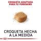 royal-canin-yorkshire-terrier-adulto-croqueta
