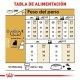 royal-canin-yorkshire-terrier-adulto-alimentacion