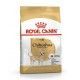 royal-canin-chihuahua-adulto