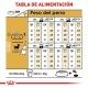 royal-canin-chihuahua-adulto-alimentacion