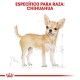 royal-canin-chihuahua-adulto-perro