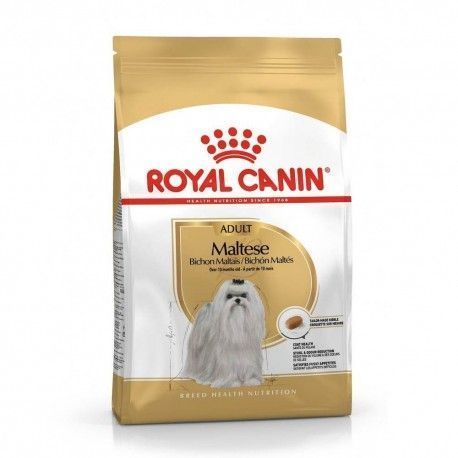 royal-canin-maltese-adulto