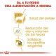 royal-canin-maltese-adulto-beneficios