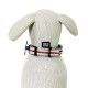 collar-nailon-acolchado-martin-sellier-trio-varios-colores-y-tallas-perro-rojo-03