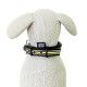 collar-nailon-acolchado-martin-sellier-trio-varios-colores-y-tallas-perro-amarillo-03