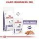royal-canin-mature-small-dog-veterinary-gama