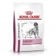 royal-canin-cardiac-dietas-02
