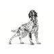 royal-canin-cardiac-dietas-perro