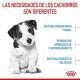 royal-canin-mini-puppy-necesidades