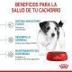 royal-canin-mini-puppy-beneficios
