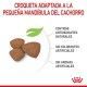 royal-canin-mini-puppy-croqueta