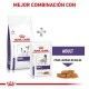 royal-canin-adult-small-dog-under-10-kg-veterinary-combinacion