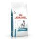 royal-canin-anallergenic-dietas