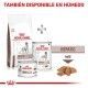 royal-canin-hepatic-dietas-combinacion