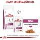 royal-canin-renal-small-dogs-dietas-combinacion