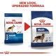 royal-canin-maxi-adult-15-kg-nueva-imagen