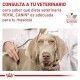 royal-canin-renal-pate-lata-410-g-veterinary