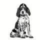 royal-canin-gastrointestinal-puppy-perro
