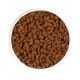 ownat-gatos-sterilized-croqueta