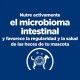 hills-canine-gastrointestinal-biome-mini-prescription-diet-informacion