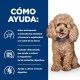 hills-canine-gastrointestinal-biome-mini-prescription-diet-como-ayuda