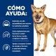 hills-canine-id-digestive-care-prescription-diet-como-ayuda