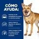 hills-canine-id-digestive-care-lata-pollo-y-vegetales-prescription-diet-como-ayuda