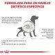 royal-canin-gastrointestinal-dietas-beneficios-02