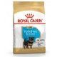 royal-canin-yorkshire-terrier-puppy