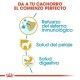 royal-canin-yorkshire-terrier-puppy-beneficios