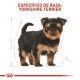 royal-canin-yorkshire-terrier-puppy-raza