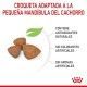 royal-canin-x-small-puppy-croqueta