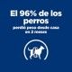 hills-canine-metabolic-prescription-diet-02